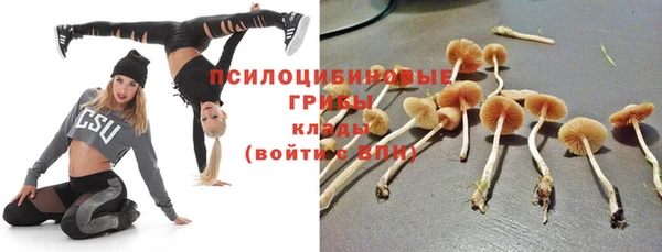 ешки Алексеевка