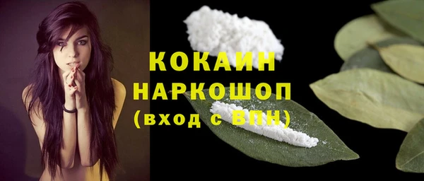 тгк Алексин