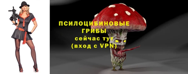 тгк Алексин