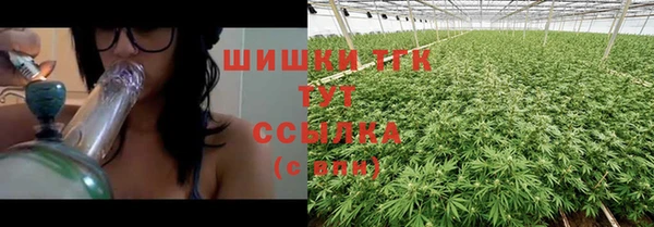 тгк Алексин