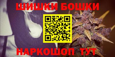 соль ск Славгород