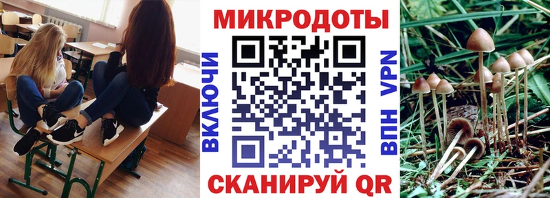 Галлюциногенные грибы GOLDEN TEACHER  закладка  Южноуральск 